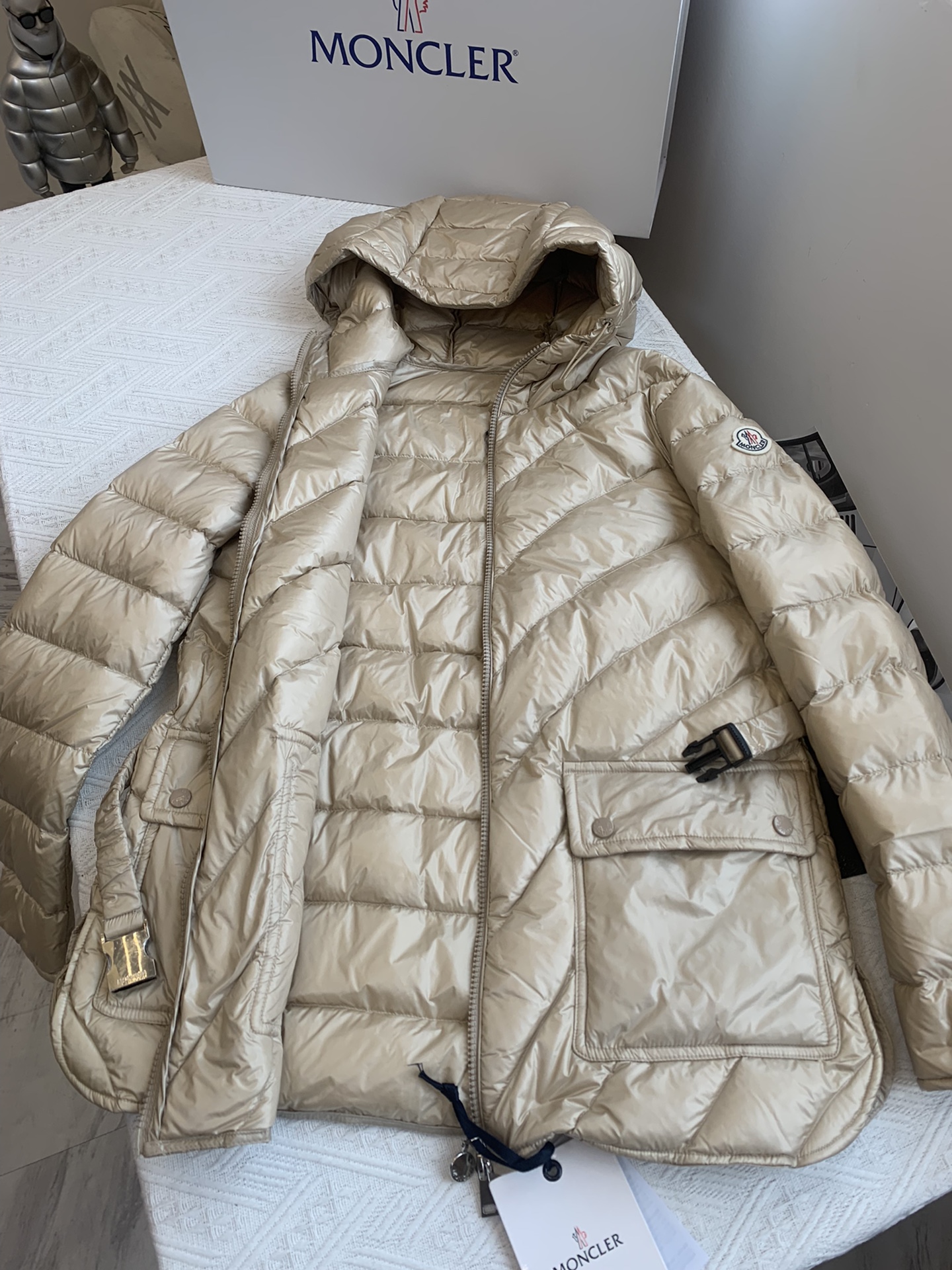 Moncler Down Jackets